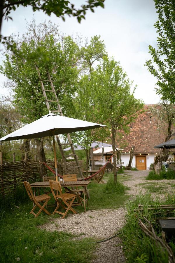 Viscri 32 - White Barn And Blue House Hotel Екстериор снимка